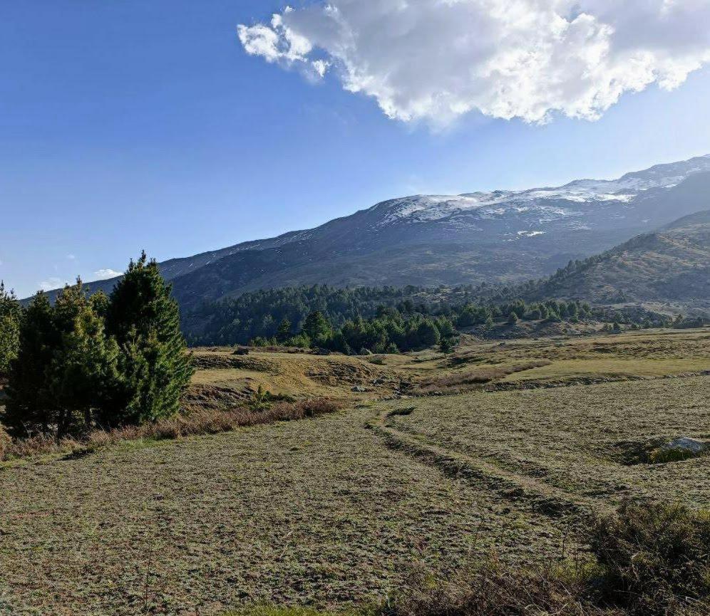 Fayul Retreat - India Highest Glamp And Ecoluxury Stay Калпа Екстериор снимка