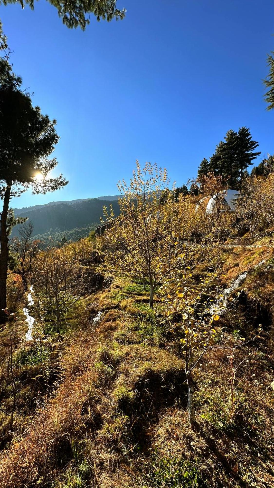 Fayul Retreat - India Highest Glamp And Ecoluxury Stay Калпа Екстериор снимка